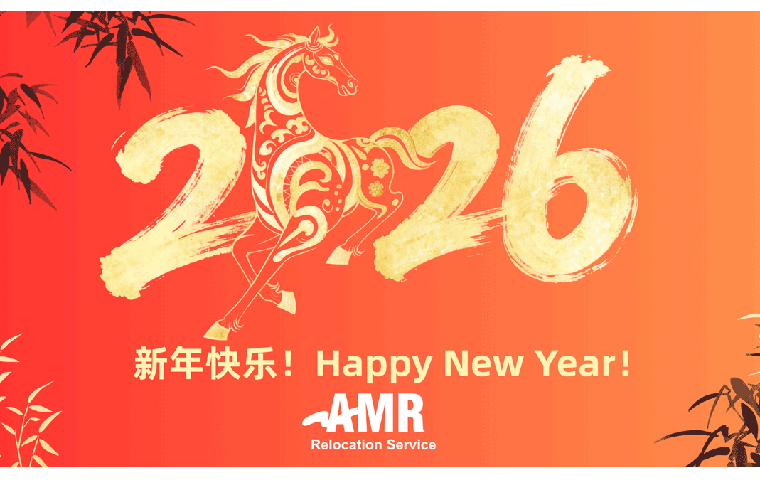 professional mover packing the boxes